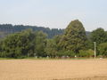 lisak-P8220010.jpg
