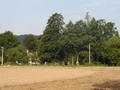 lisak-P8220011.jpg
