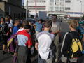 maslik-P8220200.jpg
