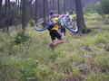 maslik-P8250209.jpg
