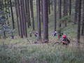 maslik-P8250211.jpg
