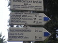 maslik-P8250213.jpg
