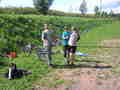 maslik-P8260219.jpg
