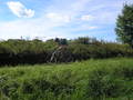 maslik-P8260224.jpg
