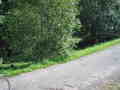 maslik-P8260227.jpg
