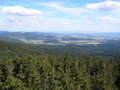 maslik-P8260229.jpg
