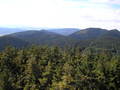 maslik-P8260233.jpg
