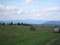 maslik-P8270248.jpg
