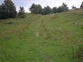 maslik-P8280249.jpg
