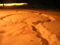 jirka-p3100258.jpg