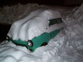 muty-PICT0454.jpg