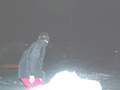 muty-PICT0472.jpg