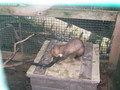 IMG_0703.JPG
