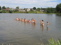 IMG_0760.JPG
