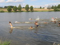 IMG_0761.JPG
