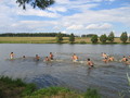 IMG_0762.JPG
