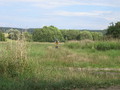 IMG_0767.JPG
