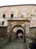 muty-PICT7432.JPG
