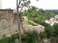 muty-PICT7433.JPG
