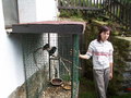 muty-PICT7447.JPG
