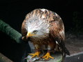 muty-PICT7450.JPG
