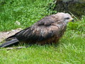 muty-PICT7451.JPG
