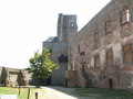 muty-PICT7605.JPG
