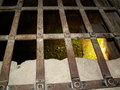 muty-PICT7616.JPG
