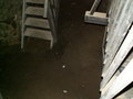 muty-PICT7617.JPG
