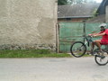muty-PICT8393.JPG
