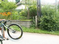 muty-PICT8496.JPG
