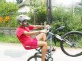muty-PICT8501.JPG
