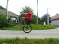 muty-PICT8514.JPG
