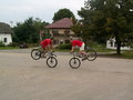 muty-PICT8697.JPG
