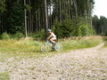 muty-PICT8754.JPG
