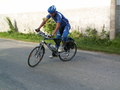 muty-PICT8823.JPG
