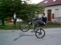 muty-PICT8864.JPG
