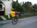muty-PICT9014.JPG
