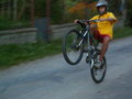 muty-PICT9030.JPG
