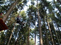 pavel-im000732.jpg
