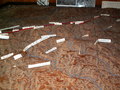 pict9722.jpg