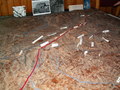 pict9723.jpg