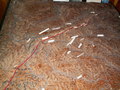 pict9724.jpg