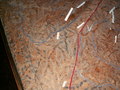 pict9725.jpg