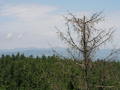 jirka-p7210012.jpg
