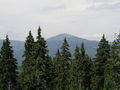 jirka-p7230039.jpg
