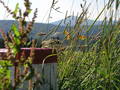 jirka-p7230045.jpg
