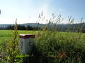 jirka-p7230047.jpg
