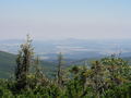 jirka-p7260026.jpg
