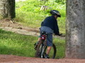 muty-z3-PICT0217.JPG
